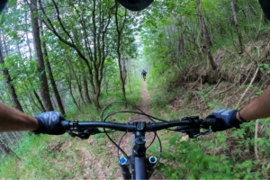 Trilhas de Mountain Bike